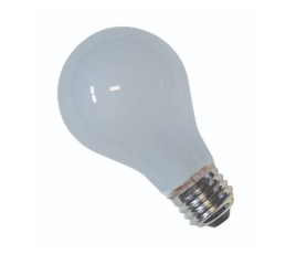 A19 12VOLT STD BULB